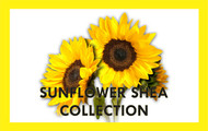 Sunflower Shea 